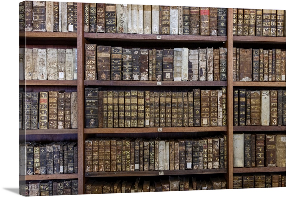 Ancient books in Biblioteca Joanina (Joanine Library), University of Coimbra, Coimbra, Coimbra district, Centro Region, Po...