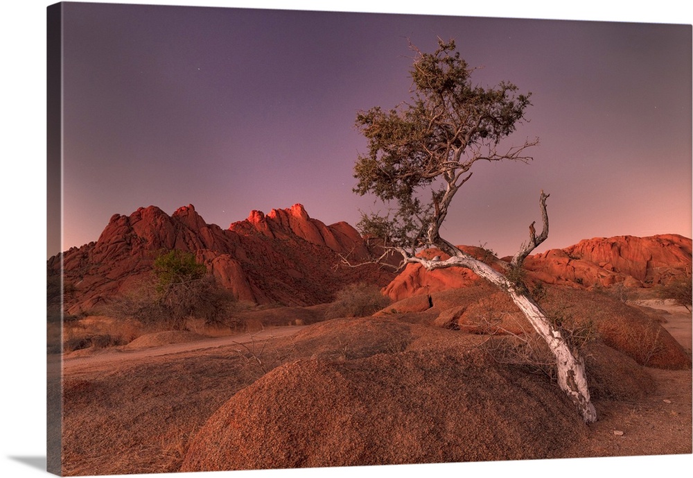 Ancient Granite Mountains And Single Tree At Dusk, Spitzkoppe, Namib Desert, Namibia