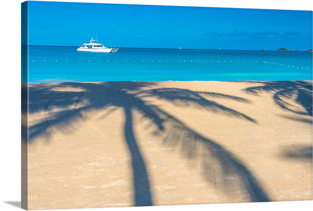 Antigua, Jolly Bay Beach, Palm Trees casting shadows.