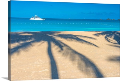 Antigua, Jolly Bay Beach, Palm Trees casting shadows