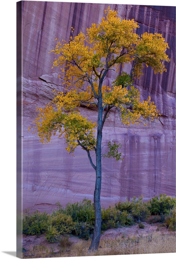 USA, Arizona, Canyon de Chelly National Monument