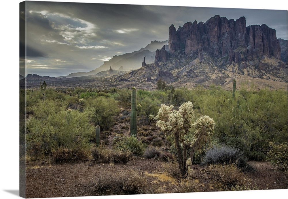 USA, Arizona, Southwest, Maricopa County, Apache Junction, Lost Dutchman State Park, Superstition mountains.