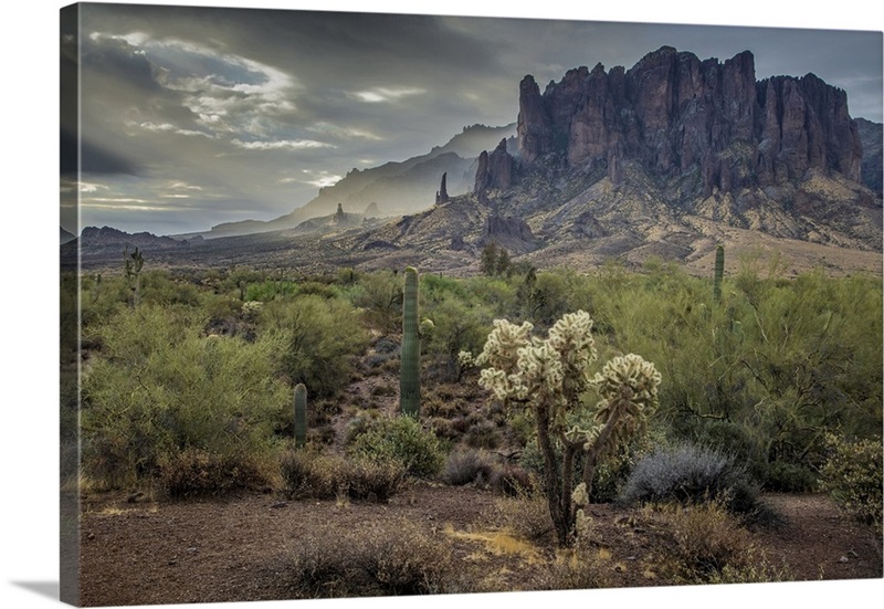 Arizona, Southwest, Apache Junction, Lost Dutchman State Park