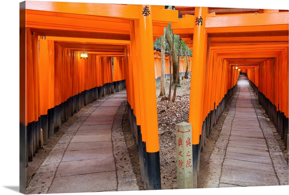 Asia, Japan, Honshu, Kansai Region, Kyoto, Fushimi-Inari Taisha shrine, a pathway leads 4km up the mountain from the shrin...