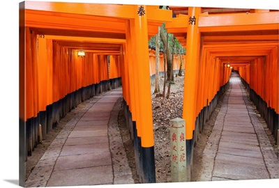Asia, Japan, Honshu, Kyoto, Fushimi-Inari Taisha shrine
