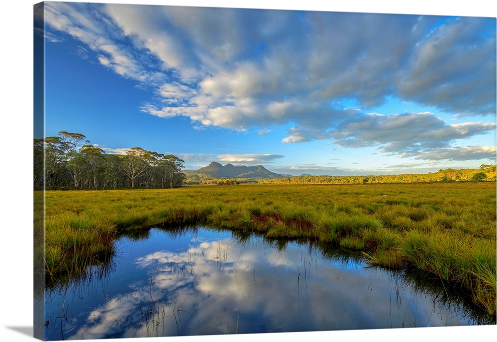Australia, Tasmania, Franklin-Gordon Wild Rivers National Park,
