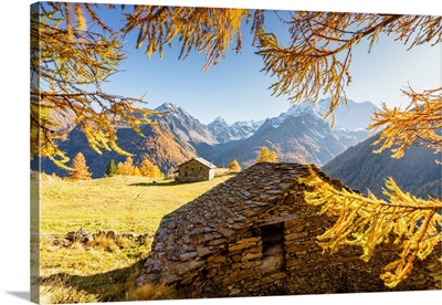 Autumn At Alpe Dell'oro, Malenco Valley, Valtellina, Sondrio, Lombardy, Italy