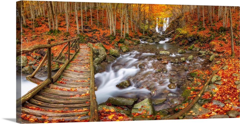 Autumn at Dardagna waterfalls, Corno Alle Scale Regional Park, Lizzano in Belvedere, Bologna province, Emilia Romagna, Ita...