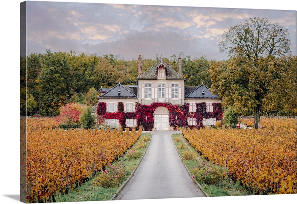 Bourgogne wine region (Burgundy), France, Europe. Autumn landscape, vineyards and luxury house.