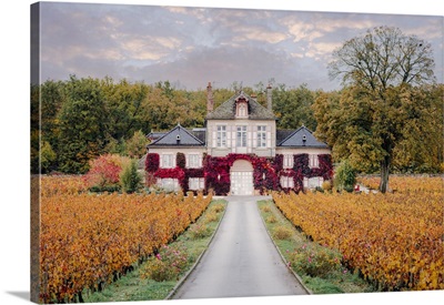 Autumn Landscape With Luxury House And Castle, Burgundy, France, Europe