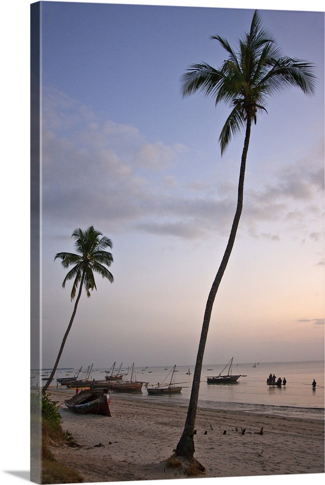 The busy harbour at Bagamoyo at dawn where fishermen land their catches and motorised dhows from Zanzibar off-load merchan...