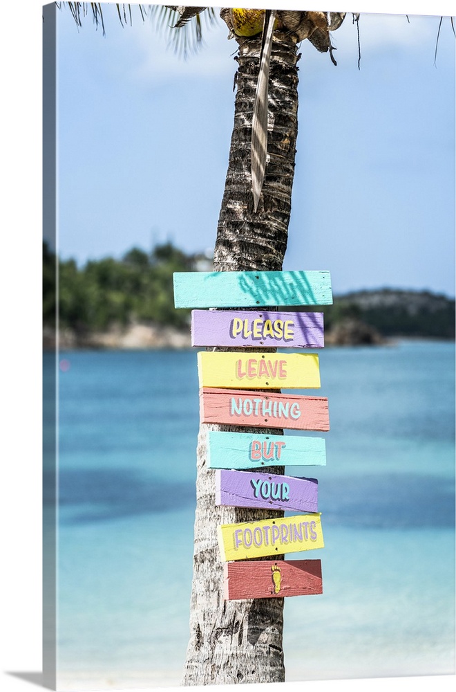 Colorful beach signs on palm tree on a tropical beach, Antigua, Antigua & Barbuda, Caribbean, West Indies