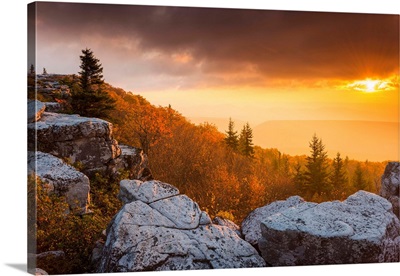 Bear Rocks At Sunrise, Dolly Sods Wilderness, West Virginia, USA