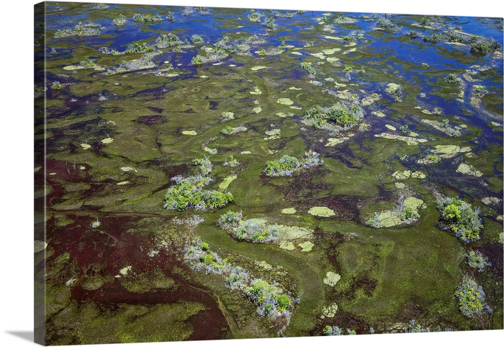 Brazil, Pantanal, Mato Grosso do Sul. An aerial view of a section of the Pantanal .