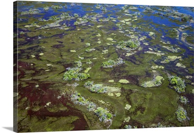 Brazil, Pantanal, Mato Grosso do Sul, An aerial view of a section of the Pantanal