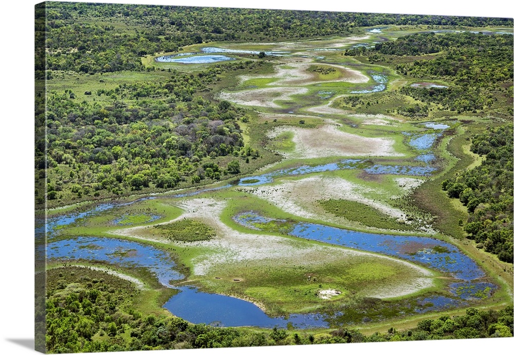 Brazil, Pantanal, Mato Grosso do Sul. An aerial view of a section of the Pantanal.