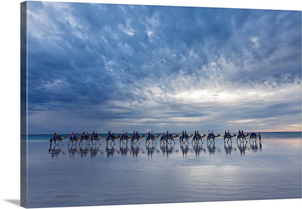 Cable Beach, Western Australia. Camels on the shore at sunset.