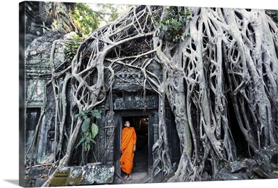 Cambodia, Siem Reap, Angkor Wat complex. Buddhist monk inside Ta Prohm temple