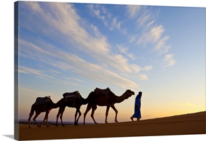 Camel Driver, Sahara Desert, Merzouga, Morocco image thumbnail