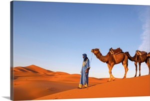 Camel Driver, Sahara Desert, Merzouga, Morocco image thumbnail