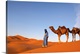 image thumbnail of Camel Driver, Sahara Desert, Merzouga, Morocco, (MR)