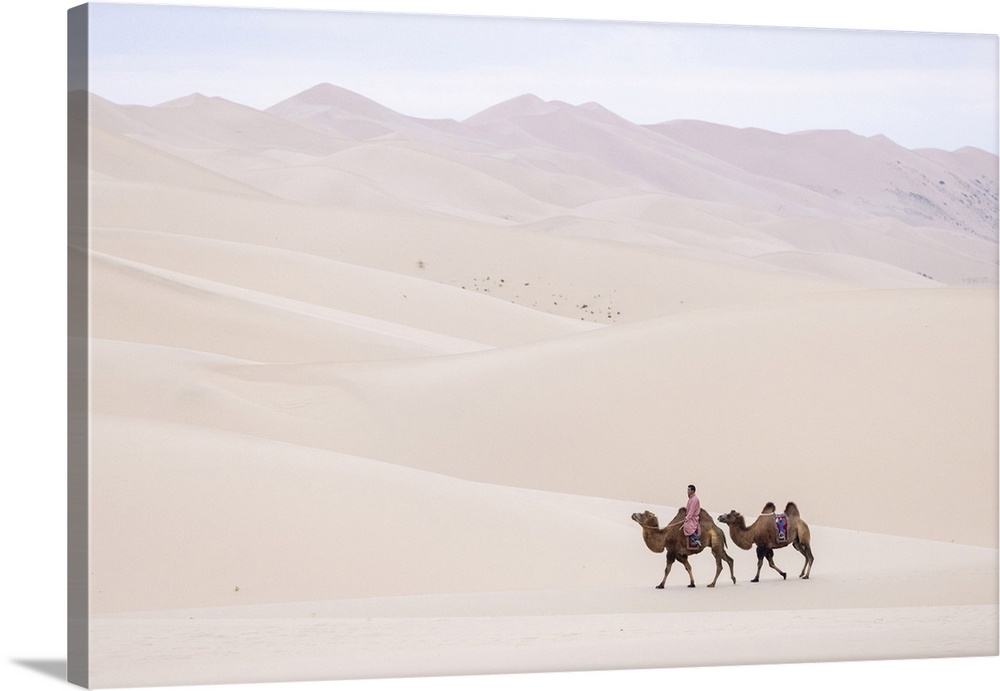 Camel Herder And 2 Camels In The Khongor Dunes, Gobi Desert, Mongolia, Asia