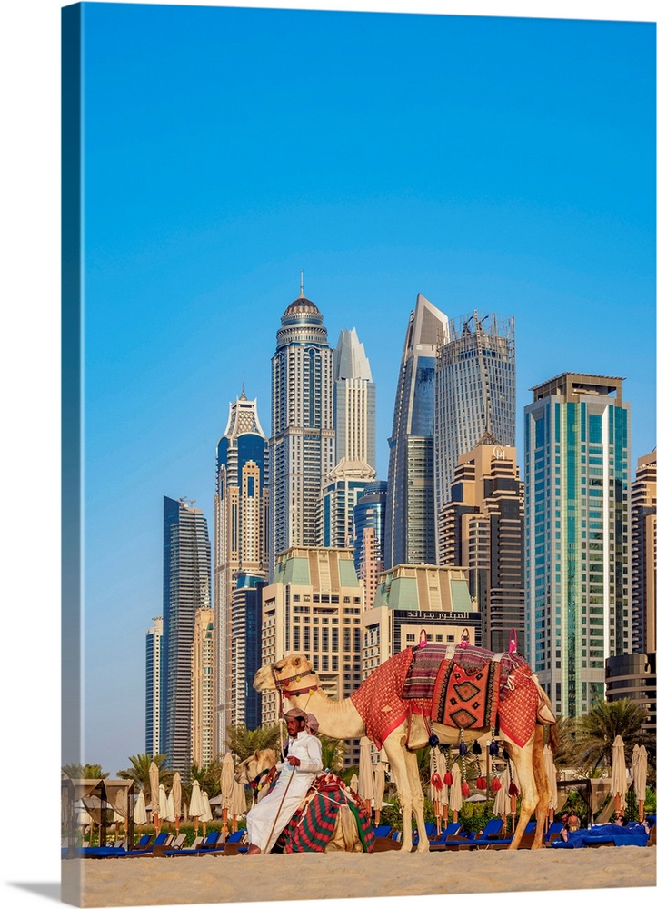 Camel Ride On The Dubai Marina JBR Beach, Dubai, United Arab Emirates