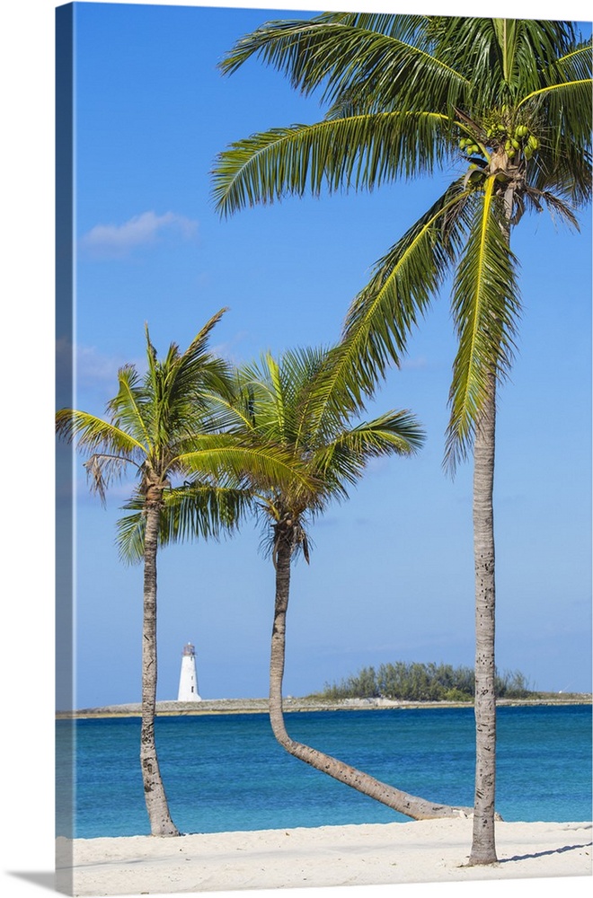 Caribbean, Bahamas, Providence Island, Nassau, Palm trees on white sand beach with lighthouse in distance