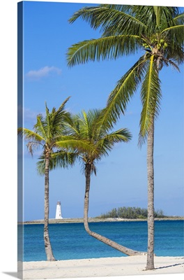 Caribbean, Bahamas, Providence Island, Nassau, Palm trees on white sand beach