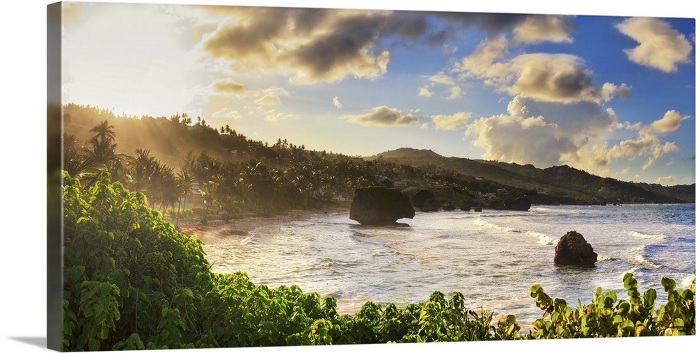 Caribbean, Barbados, Bathsheba bay Wall Art, Canvas Prints, Framed