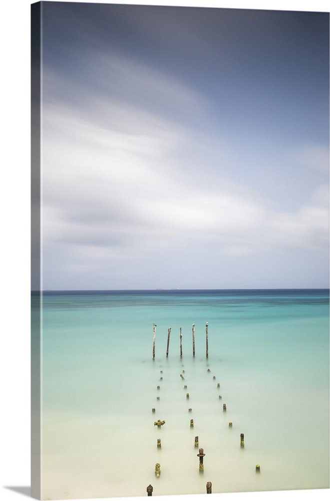 Caribbean, Netherland Antilles, Aruba, Divi beach, Pelicans on wooden posts.