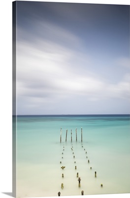 Caribbean, Netherland Antilles, Aruba, Divi beach, Pelicans on wooden posts