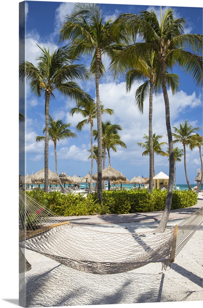 Caribbean, Netherland Antilles, Aruba, Hammock on Palm beach.