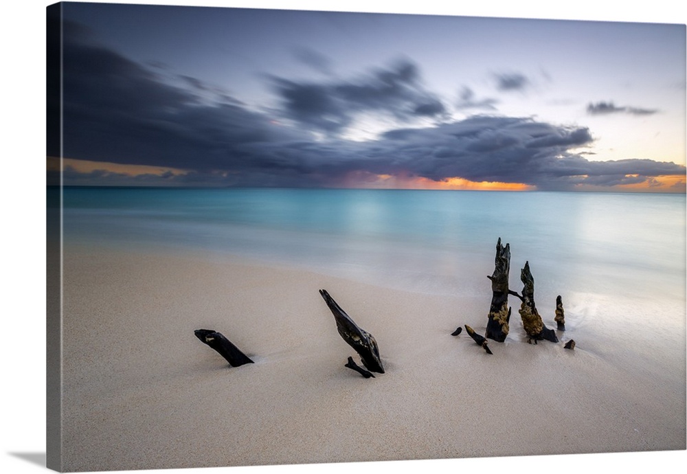 Caribbean sunset frames tree trunks on Fryers Beach, Antigua and Barbuda, Leeward Islands, West Indies.