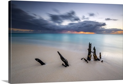 Caribbean sunset frames tree trunks on Fryers Beach, West Indies