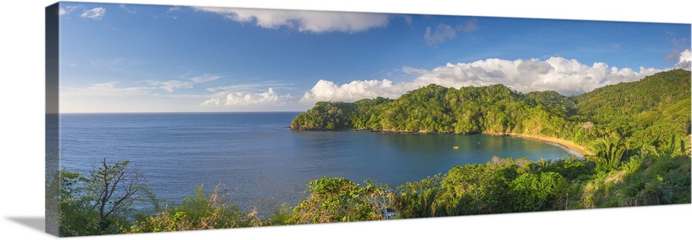 Caribbean, Trinidad and Tobago, Tobago, Englishman's Bay, Englishman's Bay Beach.