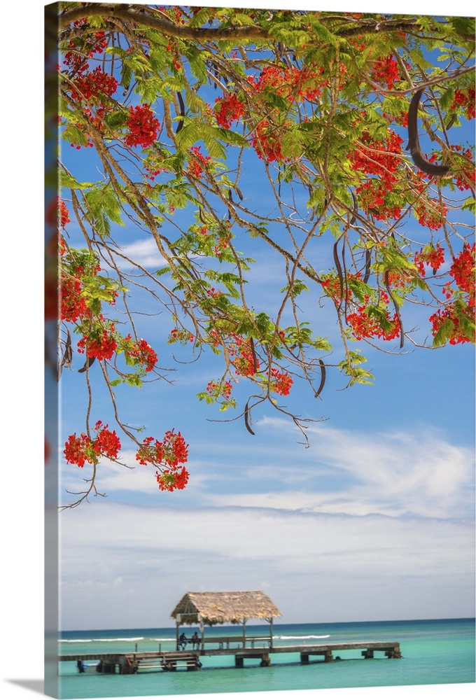 Caribbean, Trinidad and Tobago, Tobago, Pigeon Point.