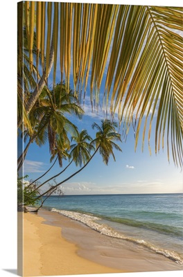 Caribbean, Trinidad and Tobago, Tobago, Pigeon Point