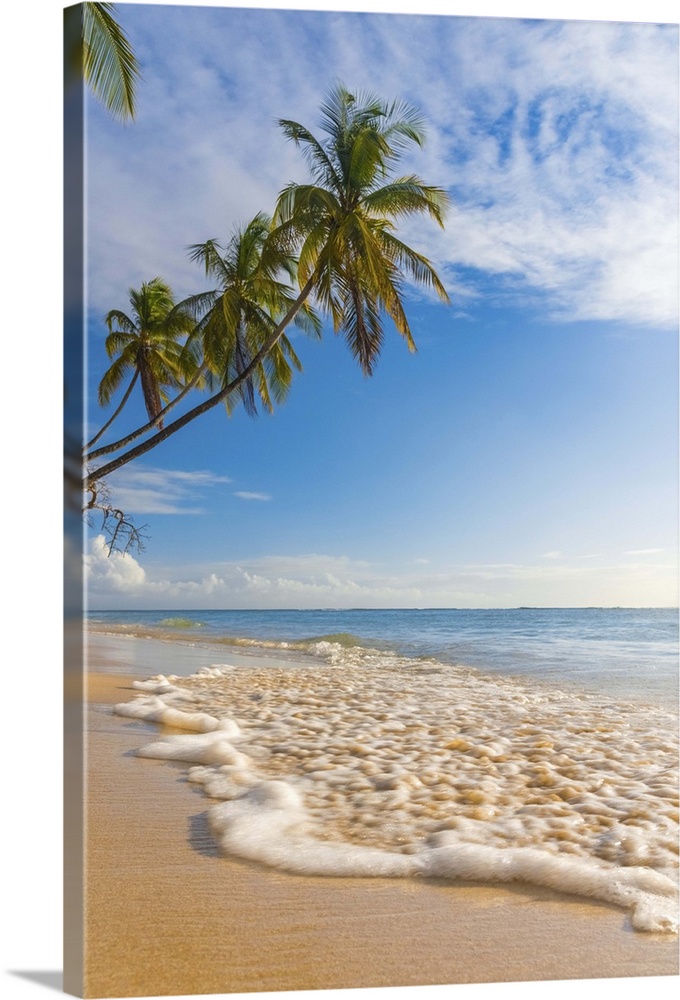 Caribbean, Trinidad and Tobago, Tobago, Pigeon Point.