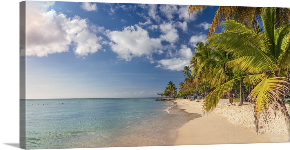 Caribbean, Trinidad and Tobago, Tobago, Pigeon Point.