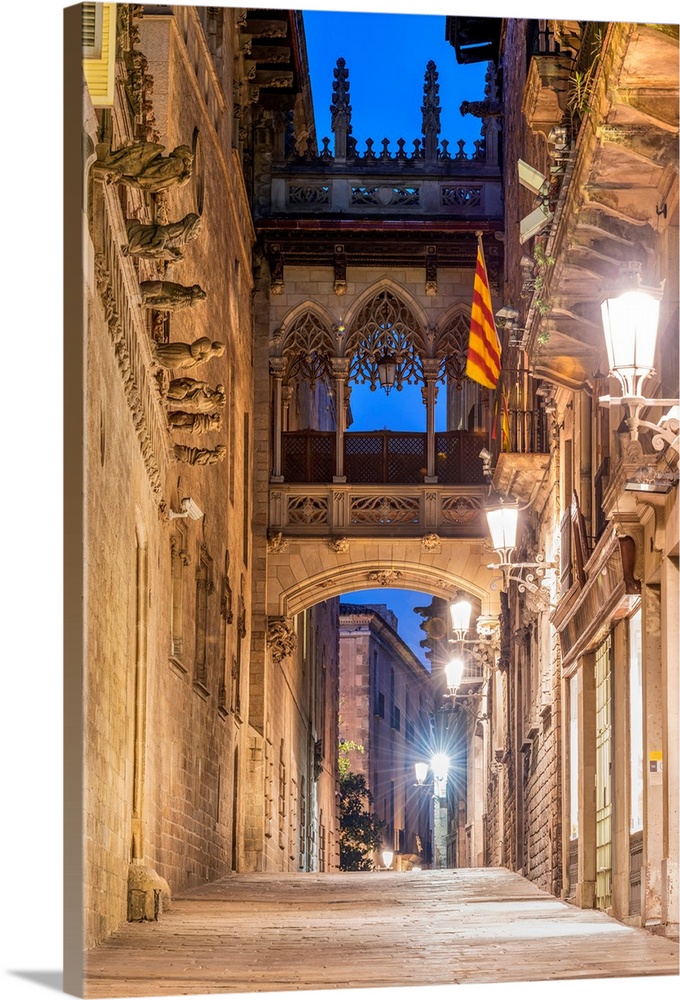 Carrer del Bisbe street, Gothic Quarter, Barcelona, Catalonia, Spain.