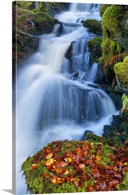 Cascading Waterfall In Autumn, Birks Of Aberfeldy, Perth & Kinross, Scotland