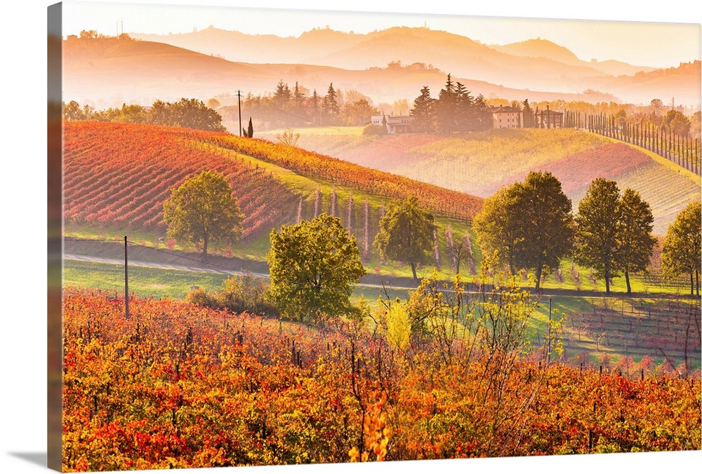 Castelvetro, Modena, Emilia Romagna, Italy. Sunset over the Lambrusco Grasparossa vineyards and rolling hills in autumn.