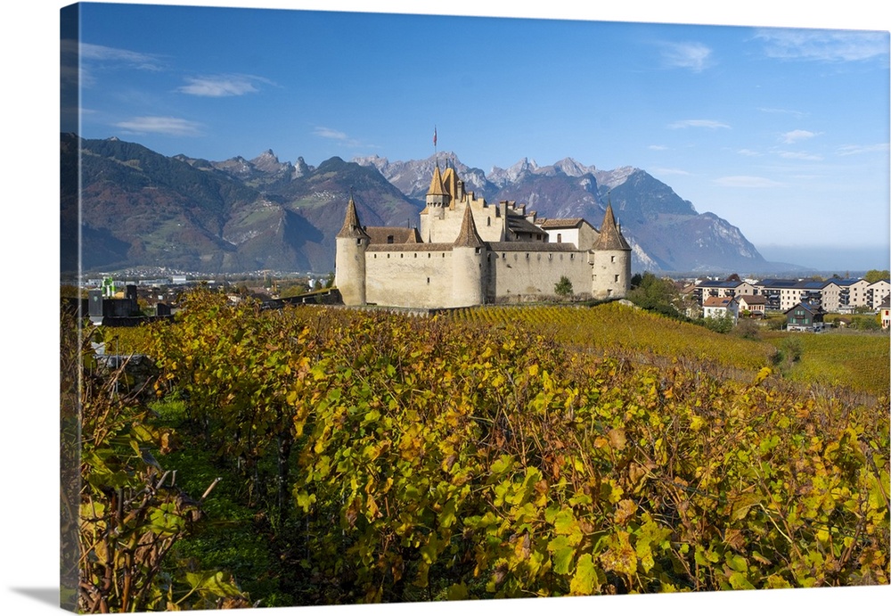 Chateau d'Aigle And Vineyards, Aigle, Vaud, Switzerland