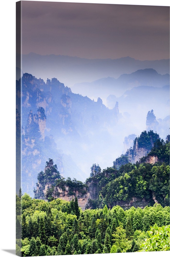 China, Hunan, Zhangjiajie National Forest Park, also called the Halleluja mountains, the forest that inspired the movie Av...