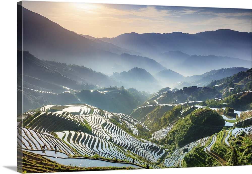 China, Guangxi Province, Longsheng, Long Ji rice terrace filled with water in the morning with Tiantou village in the back...