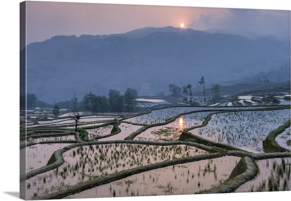 China, Yuanyang, Rice Terraces, Yunnan Province