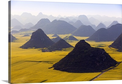China, Yunnan, Luoping, Mustard fields in bloom amongst the karst outcrops at Luoping
