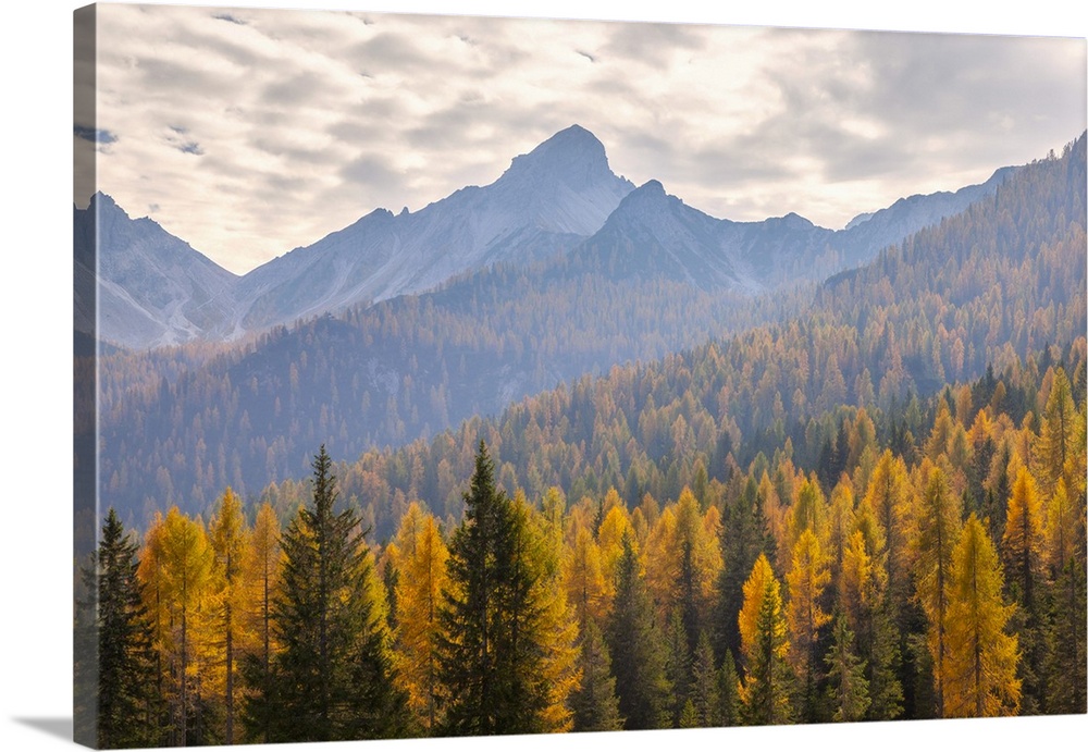 Cima Spe, Duranno - Preti group, Dolomites, Pieve di Cadore, Belluno province, Veneto, Italy.