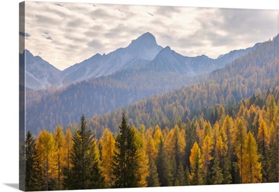 Cima Spe, Duranno, Dolomites, Pieve Di Cadore, Belluno Province, Veneto, Italy